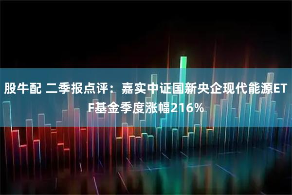 股牛配 二季报点评：嘉实中证国新央企现代能源ETF基金季度涨幅216%