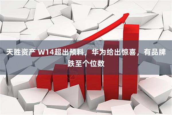 天胜资产 W14超出预料，华为给出惊喜，有品牌跌至个位数